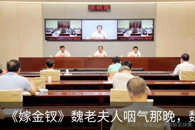 《嫁金钗》魏老夫人咽气那晚，魏娆才看懂，元嘉帝布了半生的局