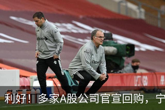 利好！多家A股公司官宣回购，宁德时代单日买入8亿元