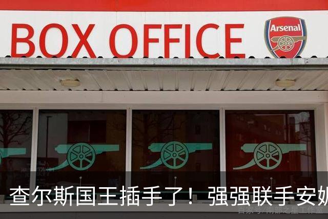 查尔斯国王插手了！强强联手安妮长公主和苏菲，威廉王储进退两难